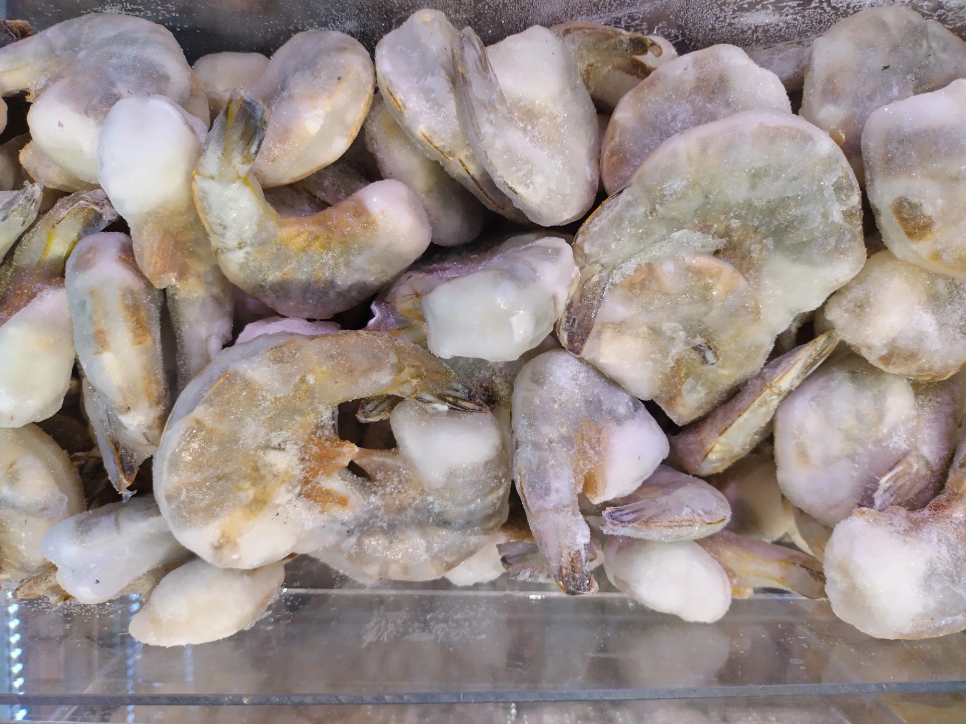 XXL Jättikatkaravunpyrstö kuorella (raaka)