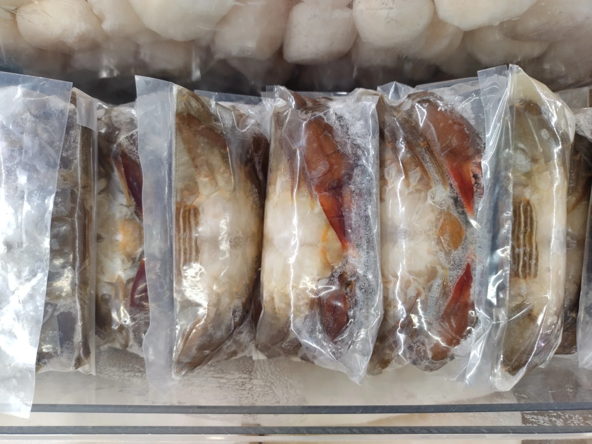 Pehmeäkuorinen rapu (soft shell crab)