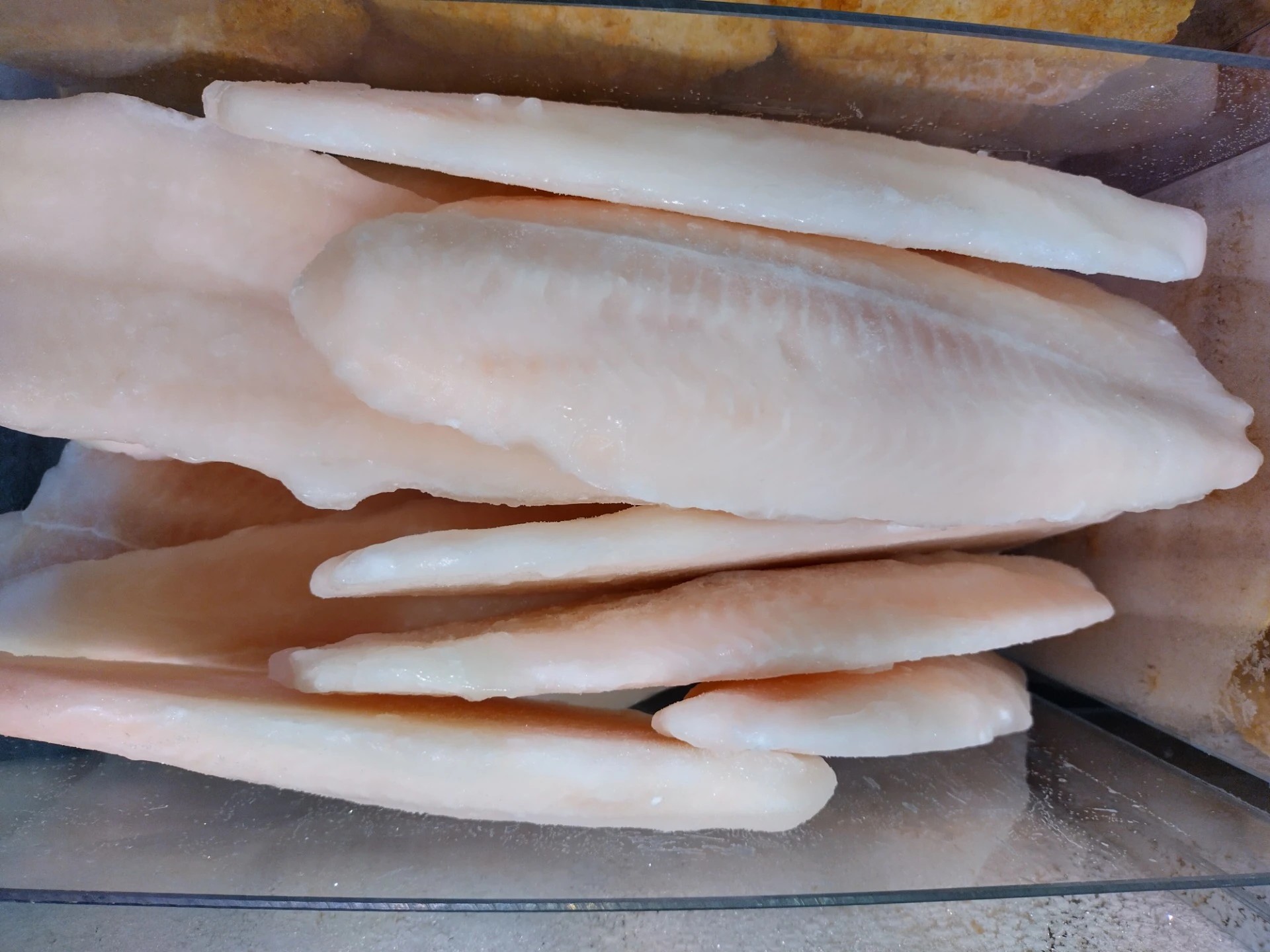 Isot pangasiusfileet